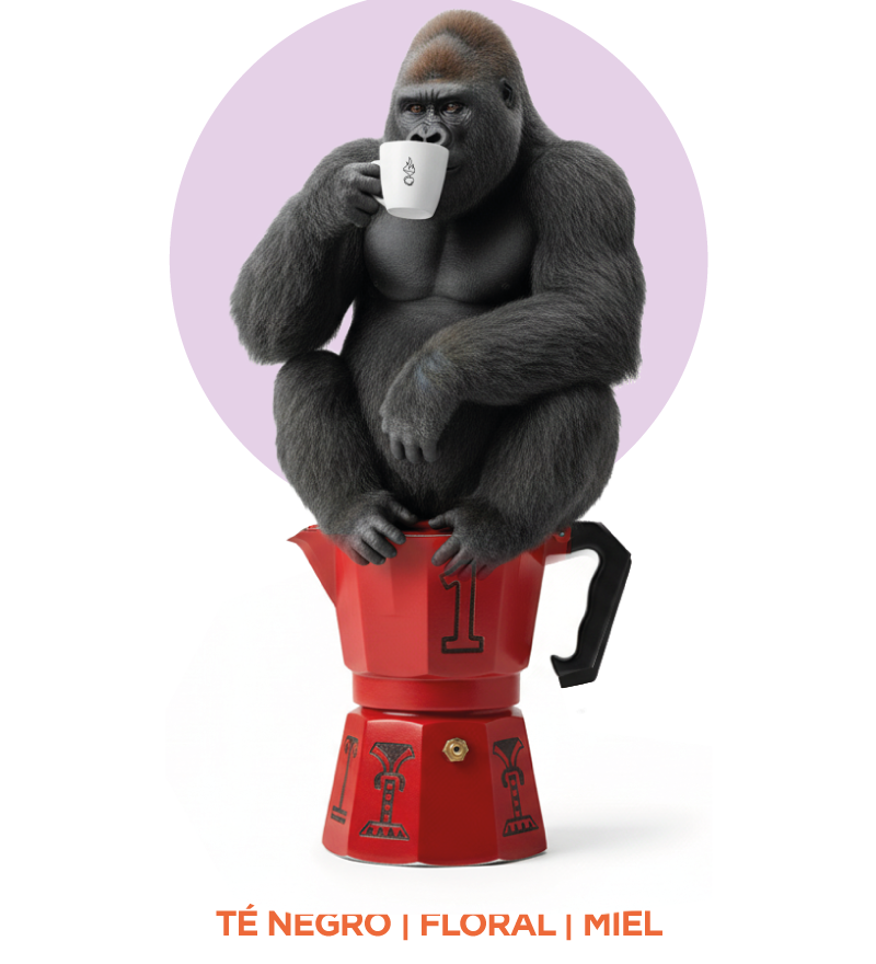 Ruanda_01.png