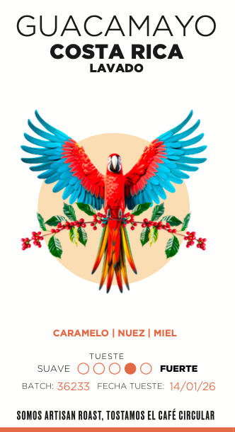 COSTA RICA Guacamayo