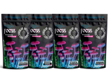 FOCUS SELECTION