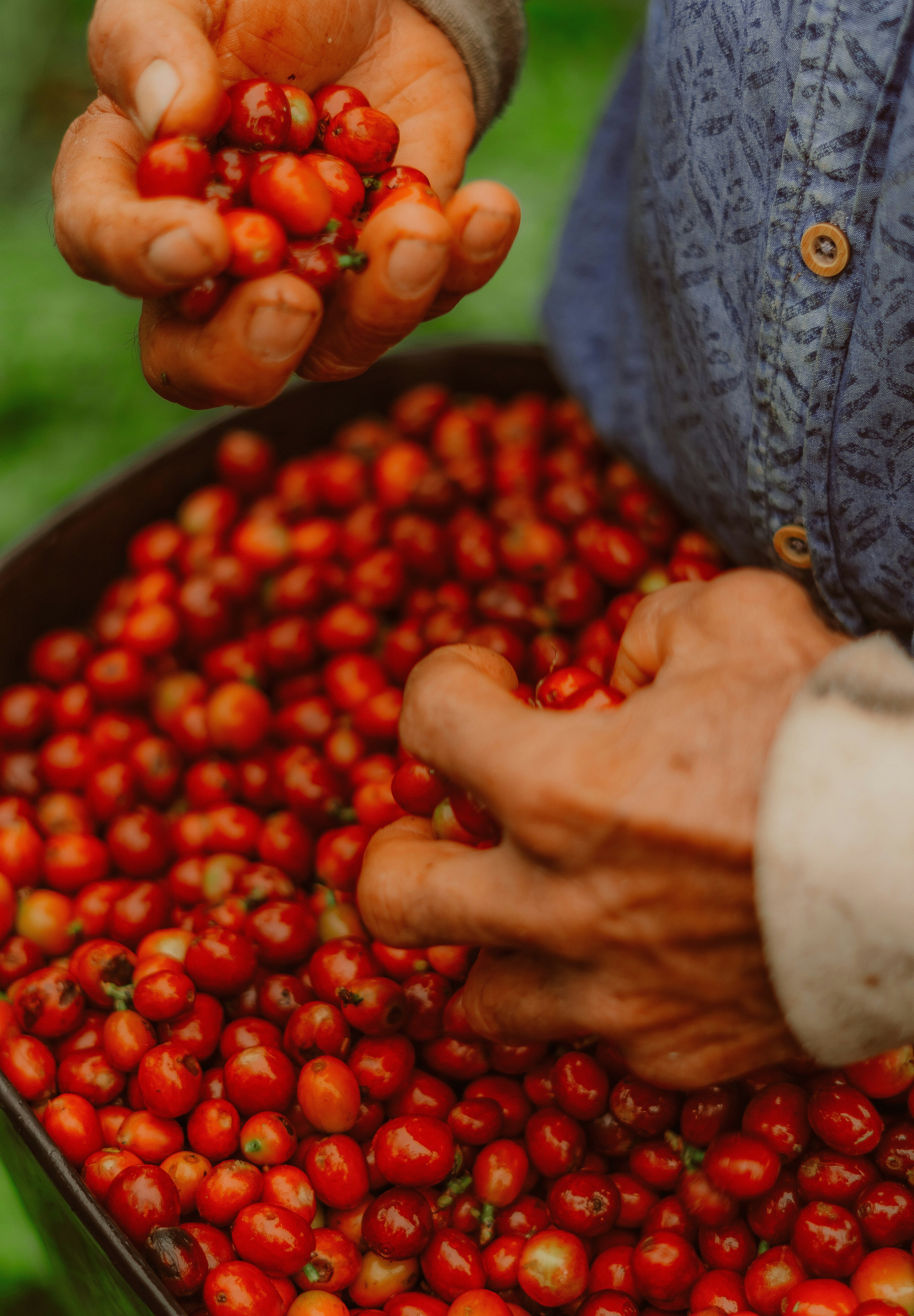 livestart-stiven-ktooMlqG28c-unsplash.jpg